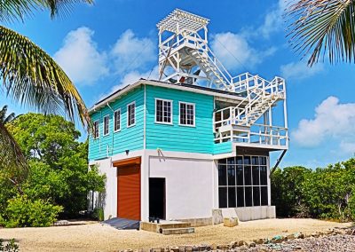 Turquoise Croc Eco House