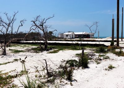 Sandy Lot Near the Sea